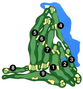 Course Overview